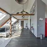 Designer Loft